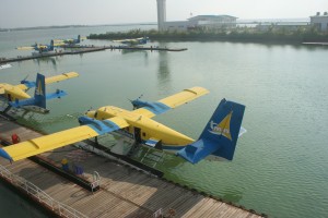 a group of blue and yellow airplanes on water