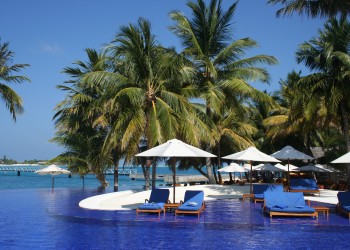 a pool with chairs and umbrellas and palm trees