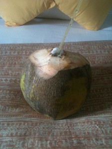a coconut with a straw in it
