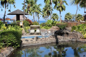 a pool with palm trees and a gazebo