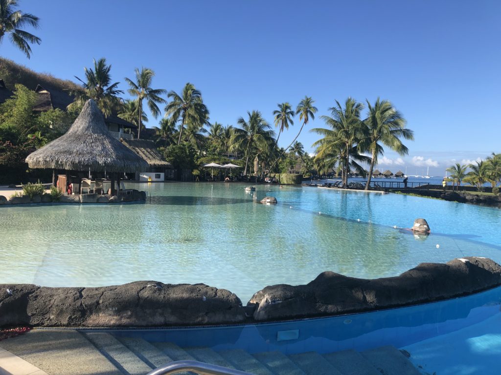 a pool with palm trees and a hut