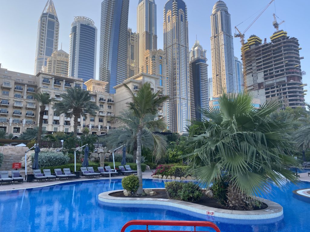 a pool with palm trees and a city skyline