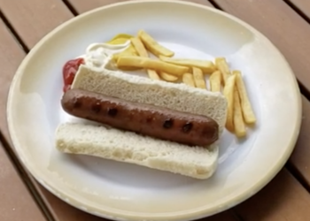 a hot dog and french fries on a plate