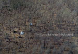 Screen Shot 2020-06-27 at 3.26.05 PM - Miles Quest