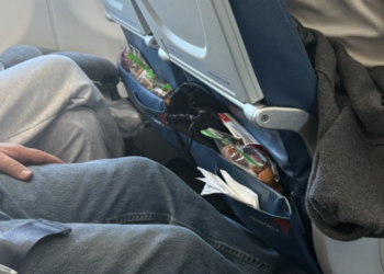 food in a pocket in a seat